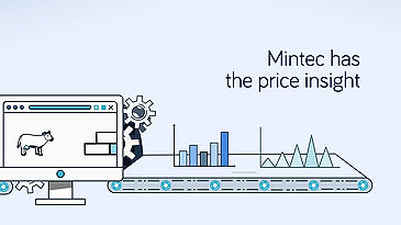 Mintec LinkedIn animated Ad